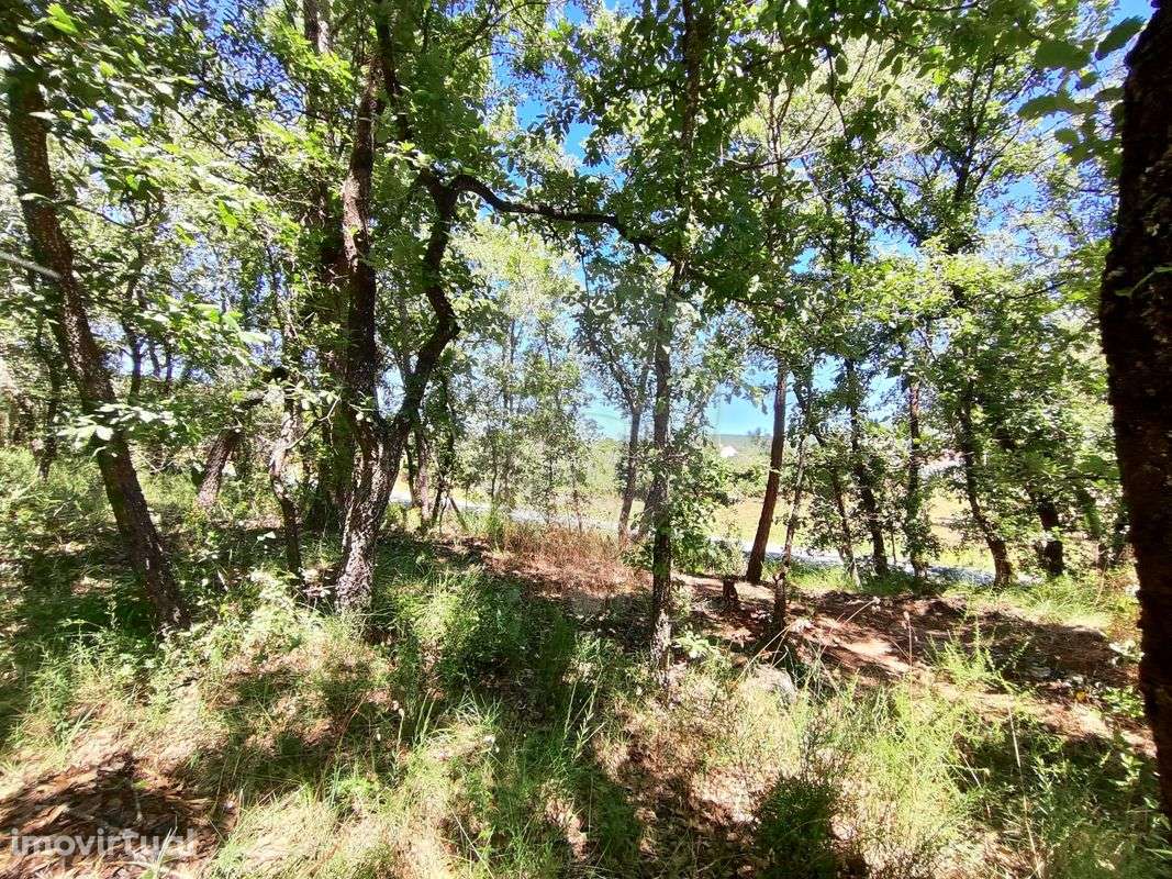 Terreno  para venda - Grande imagem: 4/23