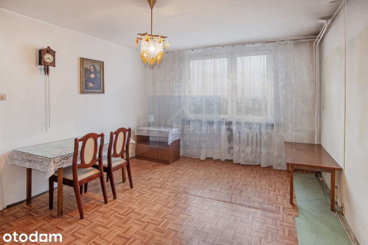 Tanie Mieszkanie, Okazja, Ostatni Grosz