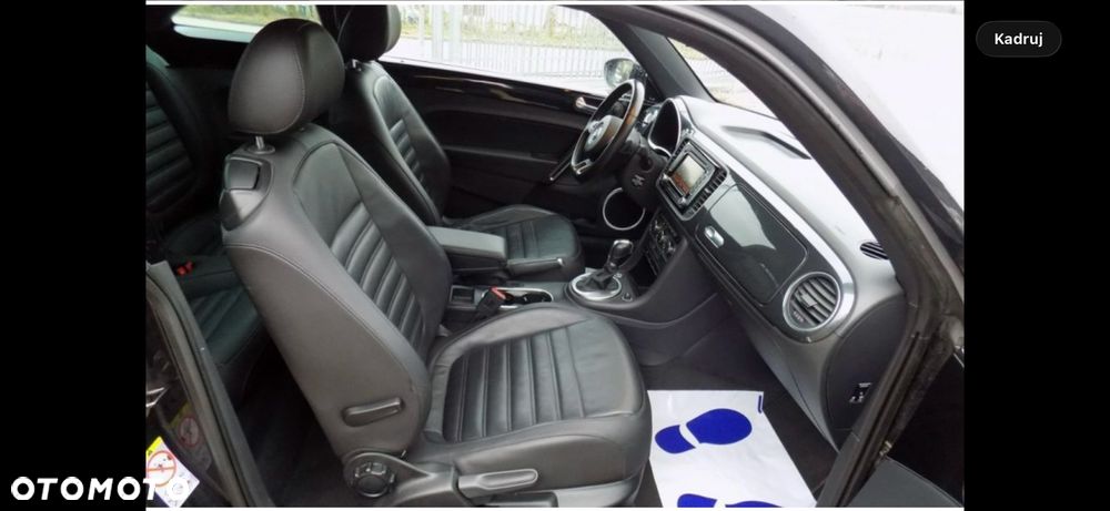 Volkswagen Beetle - 5