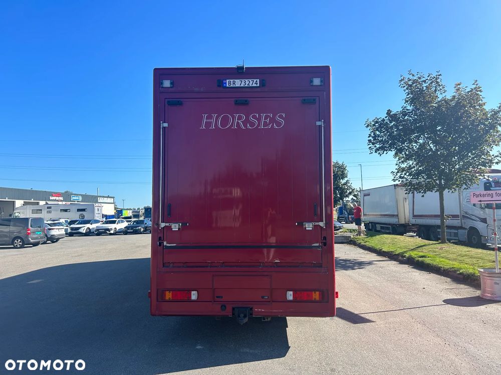 Scania R340 Koniowóz POP OUT - 6