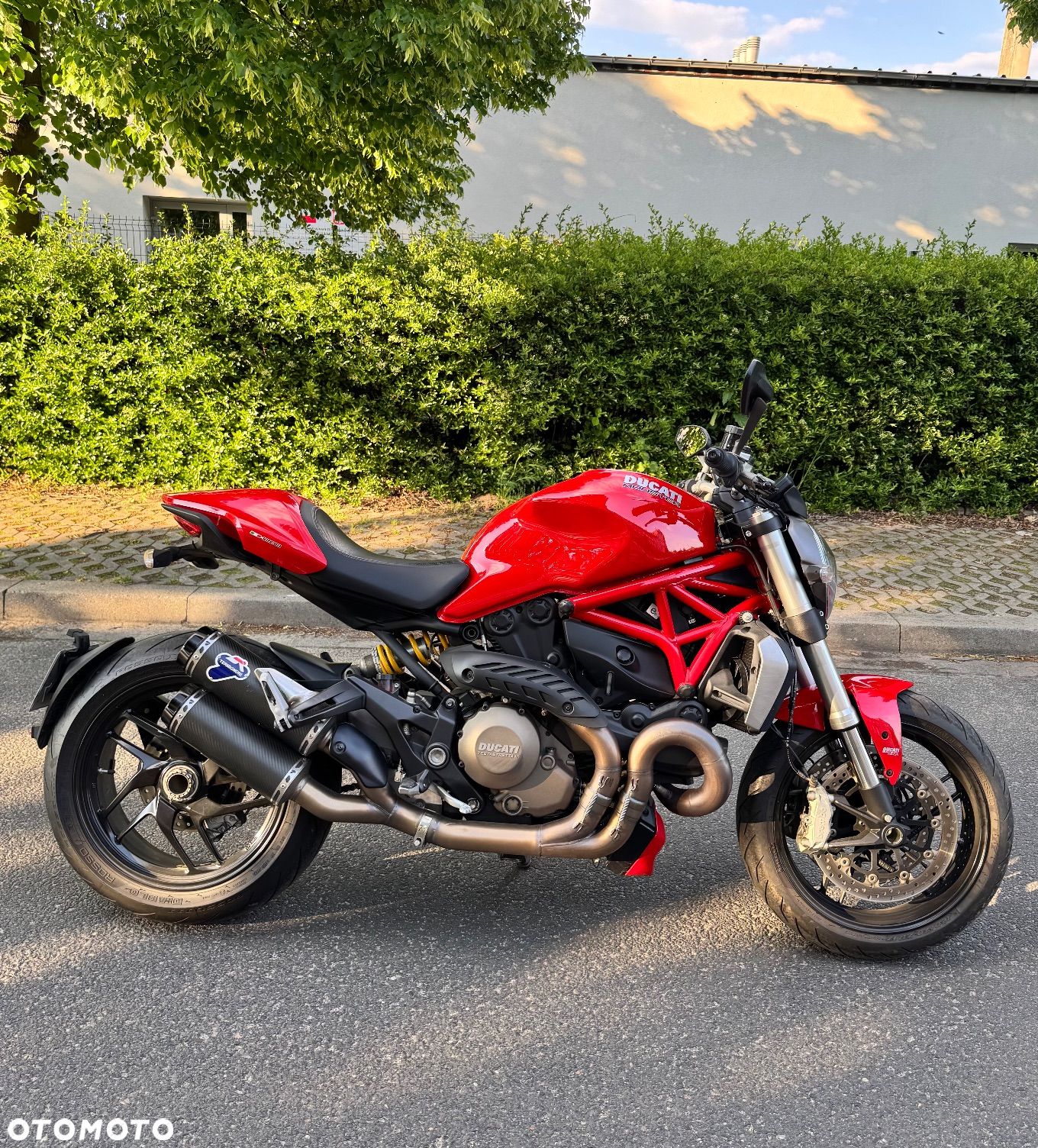 Ducati Monster - 1
