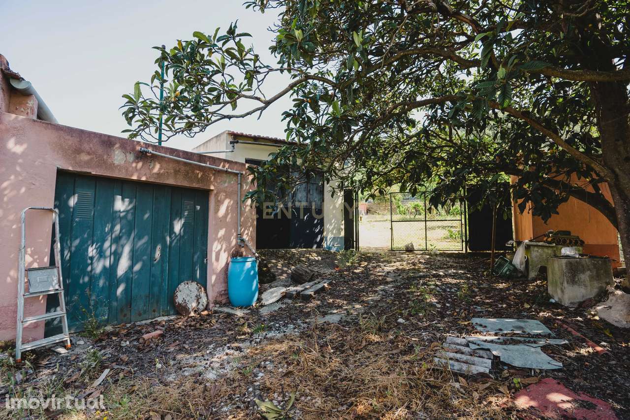 Quintinha para Venda - Perto de Alenquer - Grande imagem: 4/16