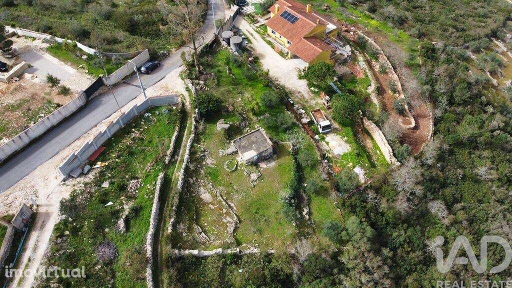 Casa de Campo em Reguengo do Fetal - Grande imagem: 2/22