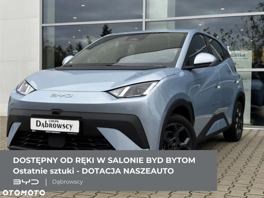 BYD Dolphin Surf 43.2kWh Boost - 2