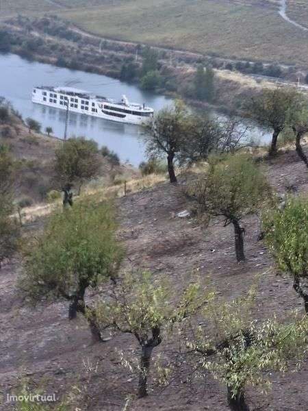 Terreno rústico em Moncorvo - Grande imagem: 2/6