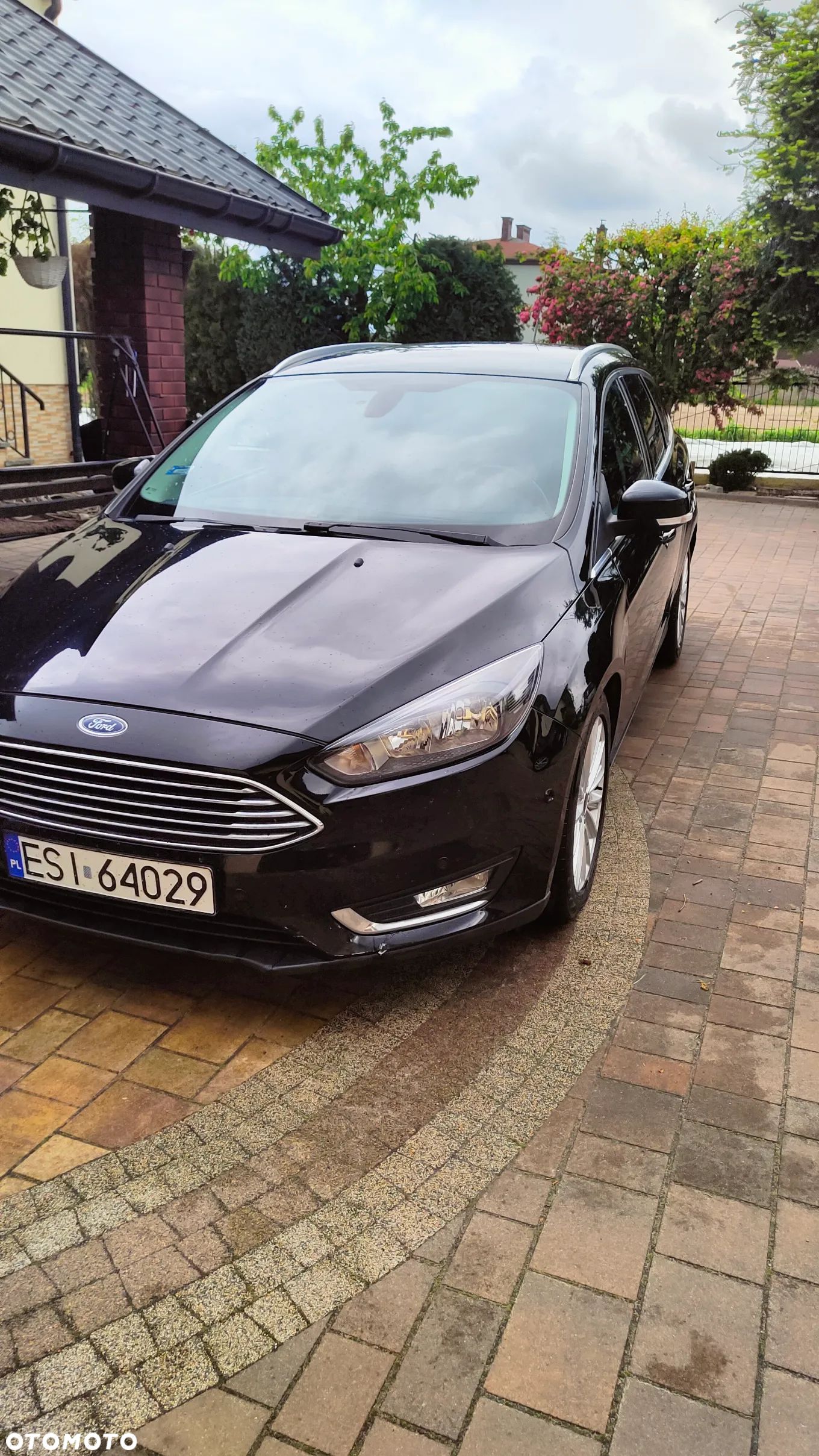 Ford Focus - 1