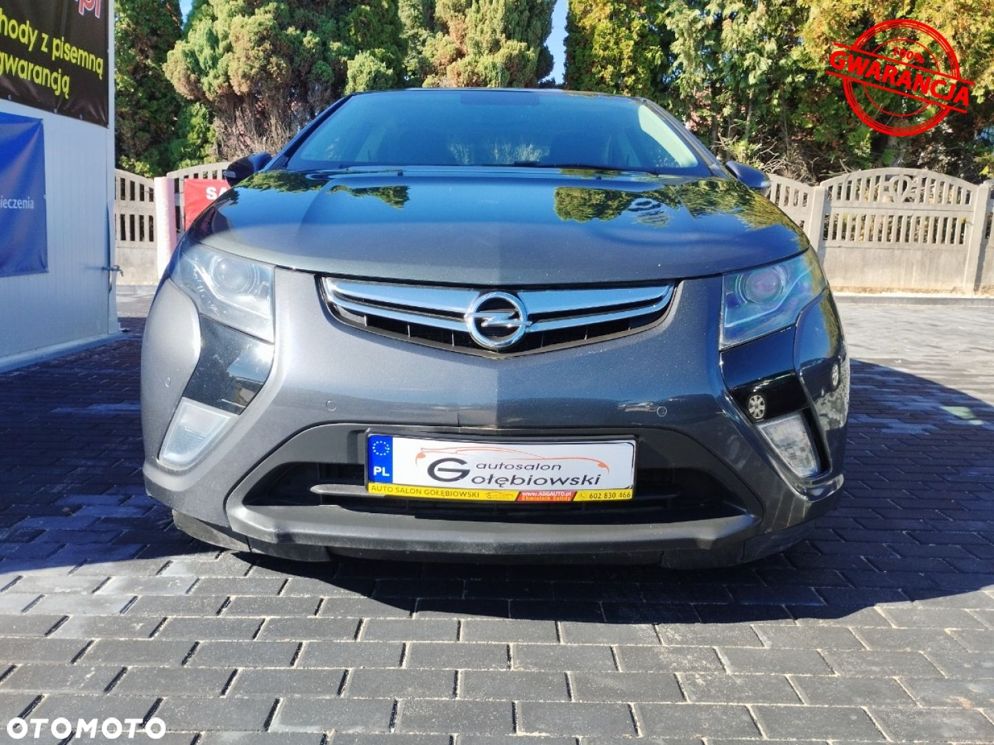 Opel Ampera - 15