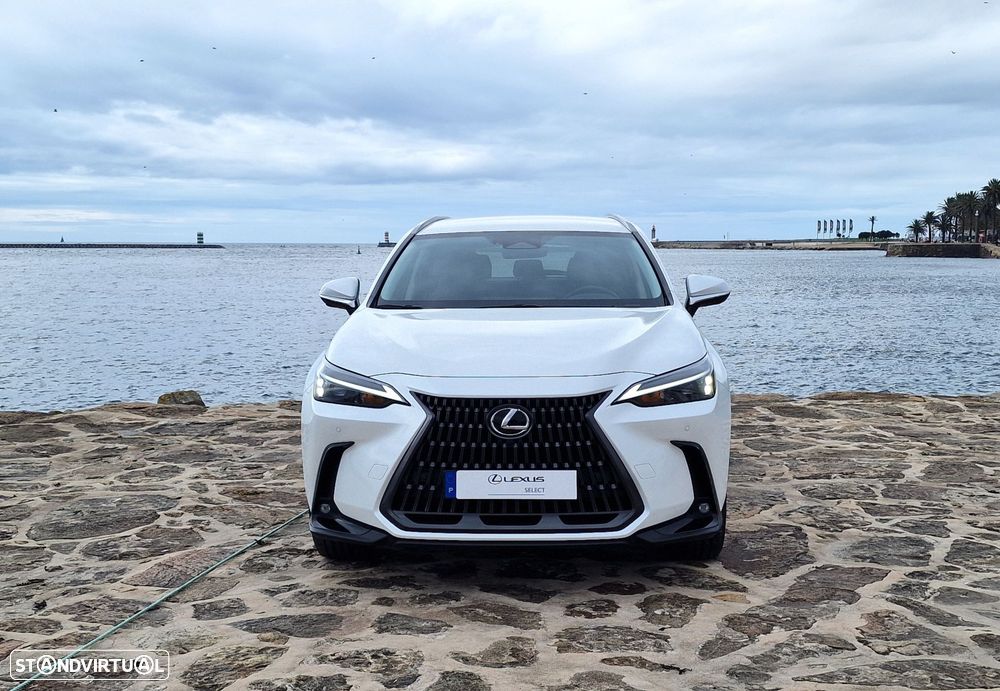 Lexus NX 450h+ - 22