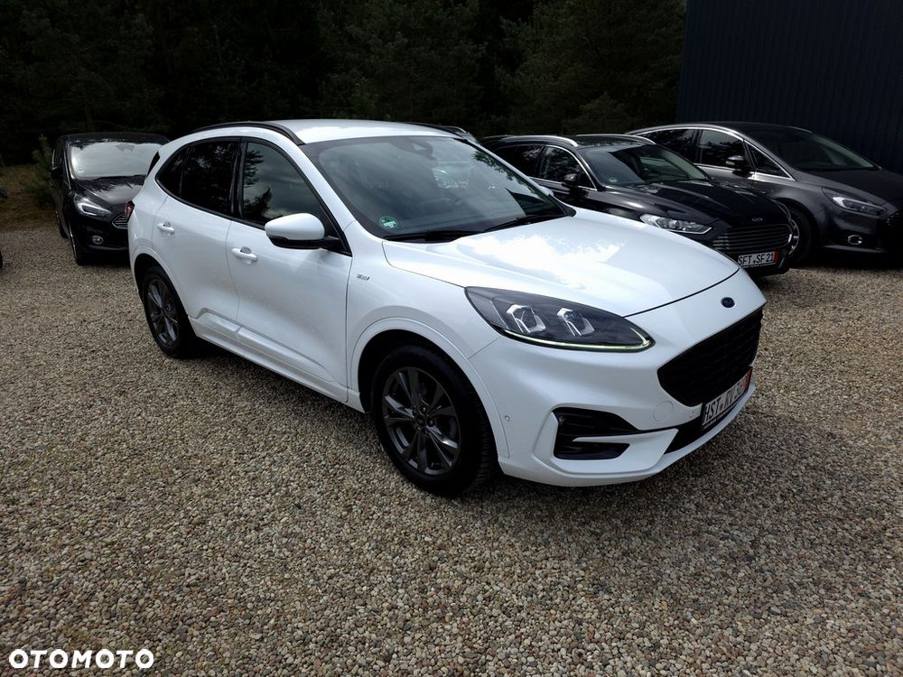 Ford Kuga 2.0 EcoBlue mHEV FWD ST-Line - 2