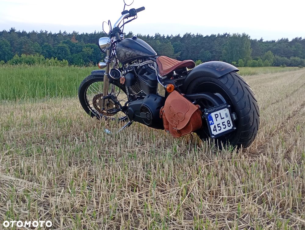 Harley-Davidson Softail - 1
