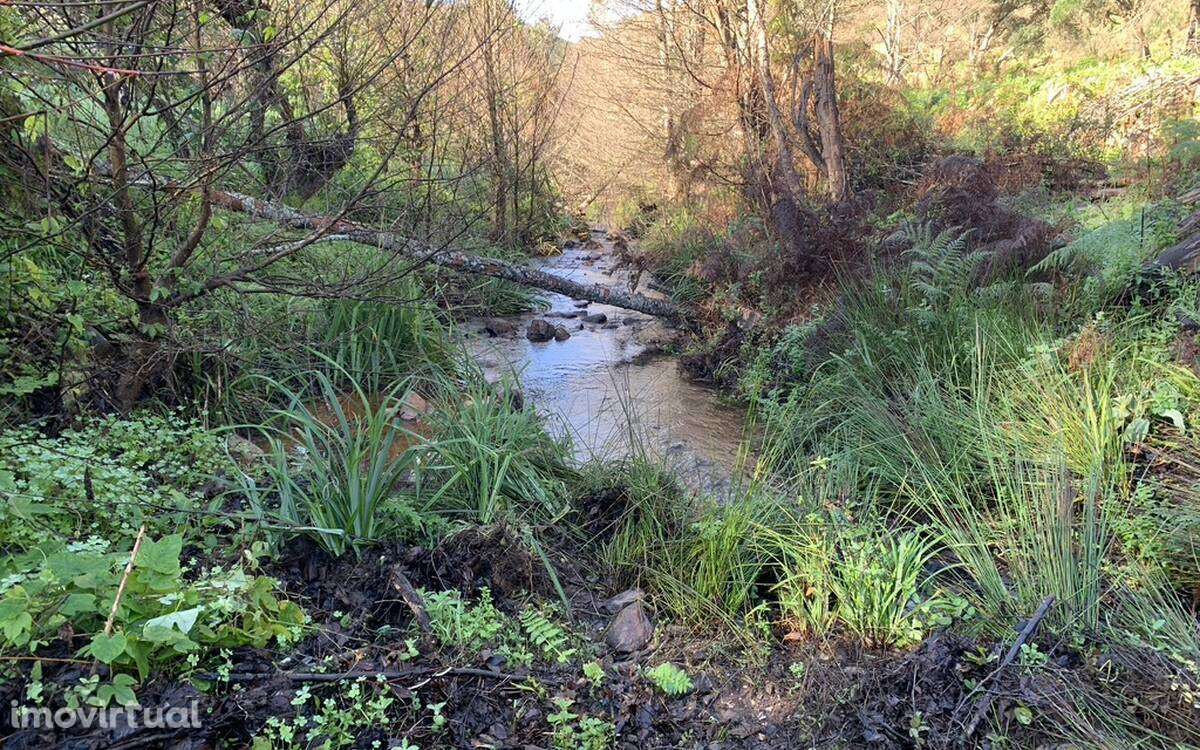 Quintinha Foz da Maceira - Grande imagem: 5/20