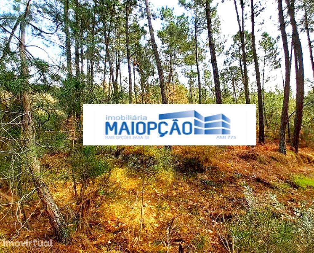 Terreno T5+ - Grande imagem: 5/5