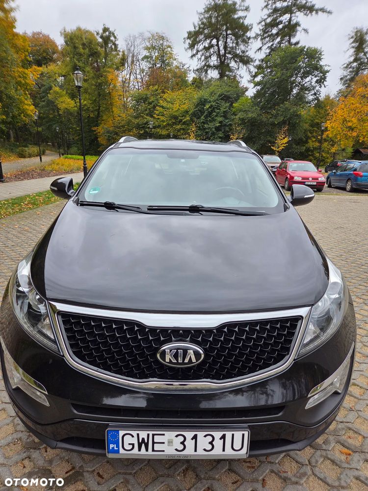 Kia Sportage 2015 photo 5