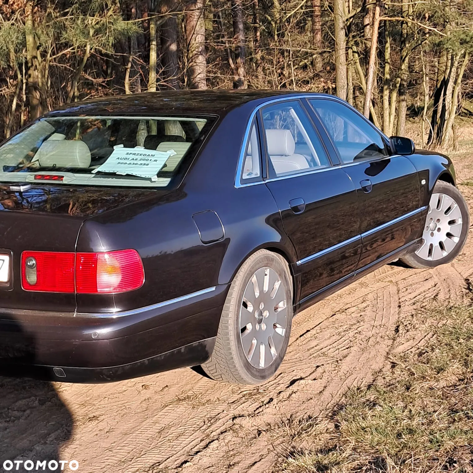 Audi A8 4.2 Quattro - 17