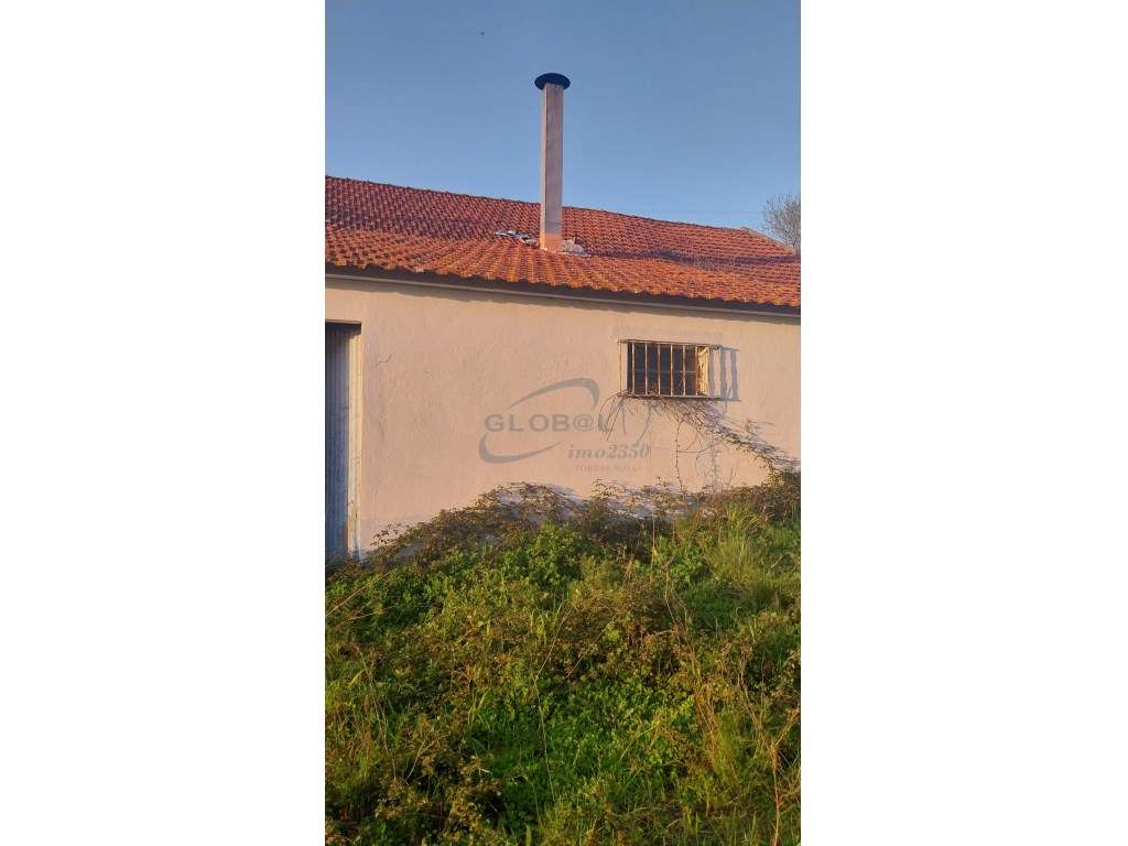 Lagar de Azeite- Lamarosa - Grande imagem: 3/13