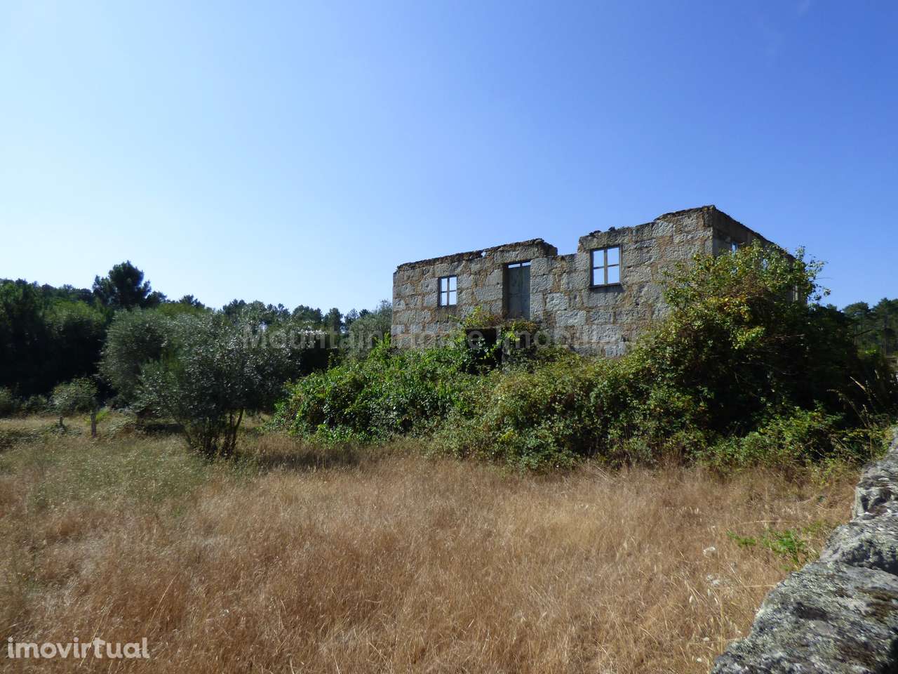 Quinta  Venda em Seixo da Beira,Oliveira do Hospital - Grande imagem: 3/10