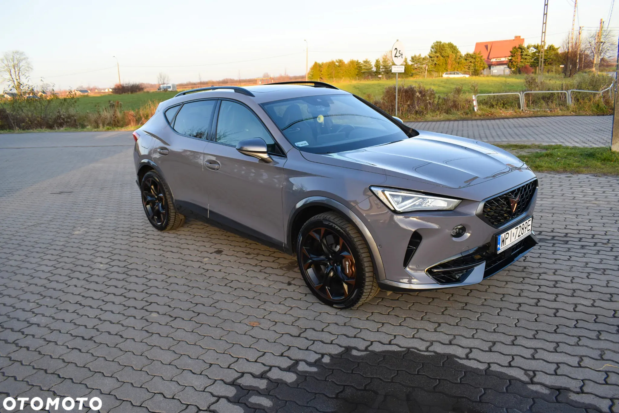 Cupra Formentor - 9