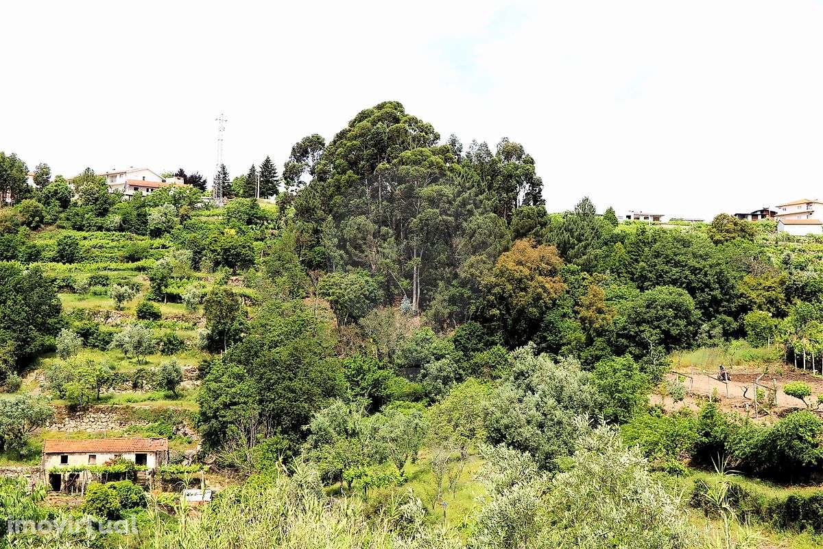 Quinta  para venda - Grande imagem: 3/6