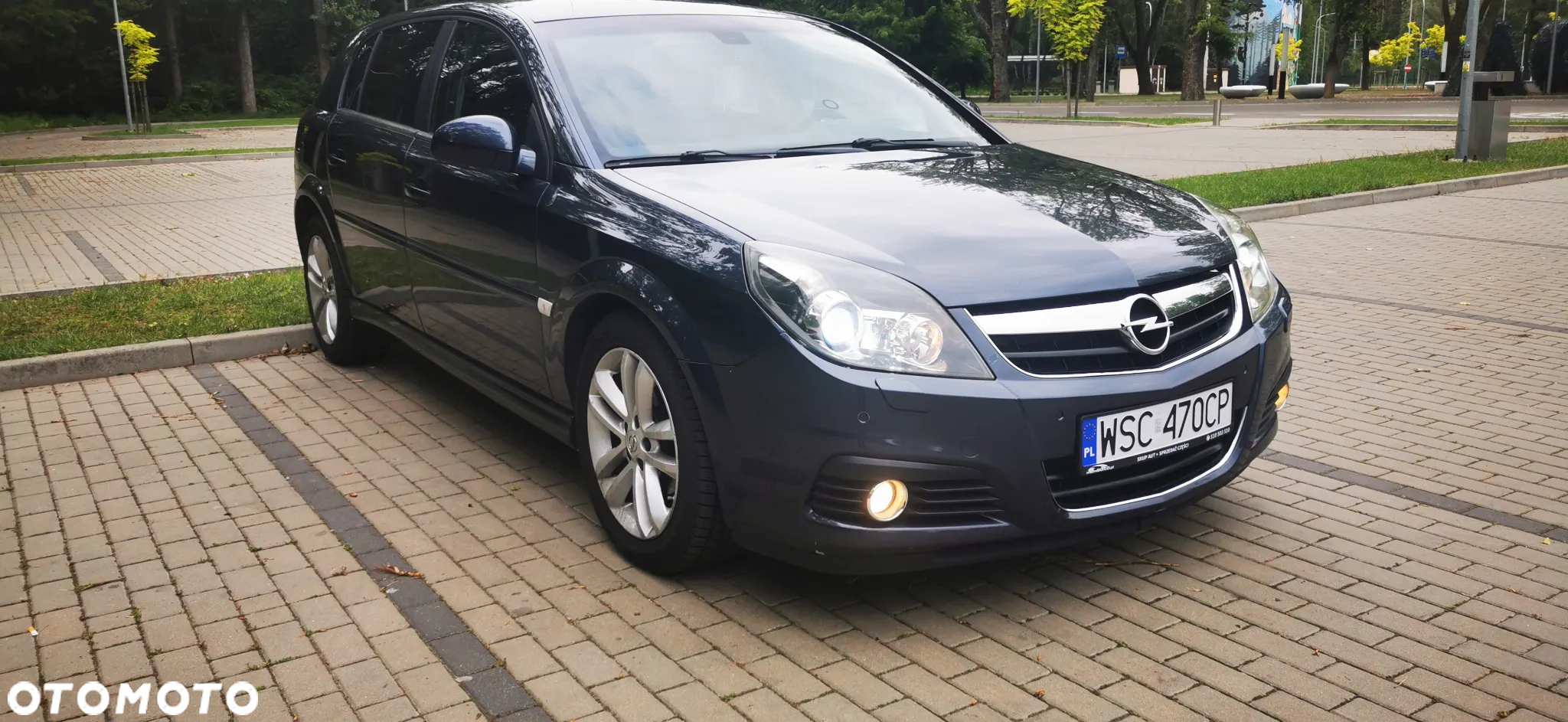 Opel Signum 1.9 CDTI Sport - 6