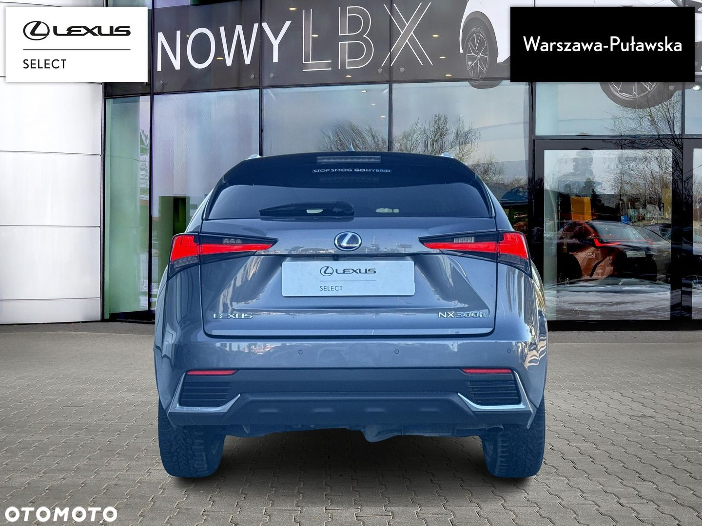 Lexus NX - 8