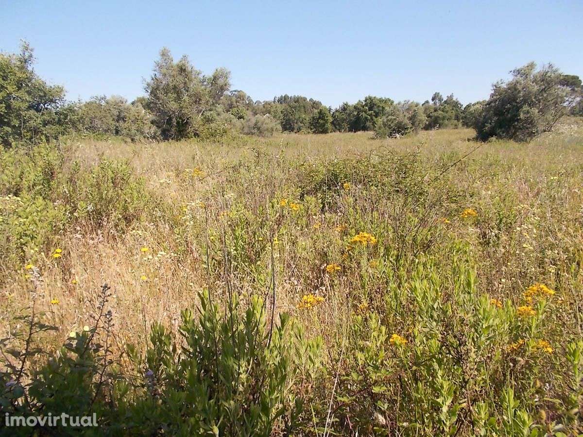 Terreno Rústico Fértil com 5760 m2 - Grande imagem: 2/4
