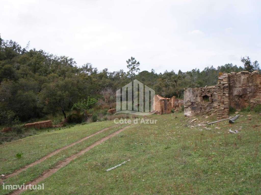 Propriedade no Alentejo - Grande imagem: 5/16
