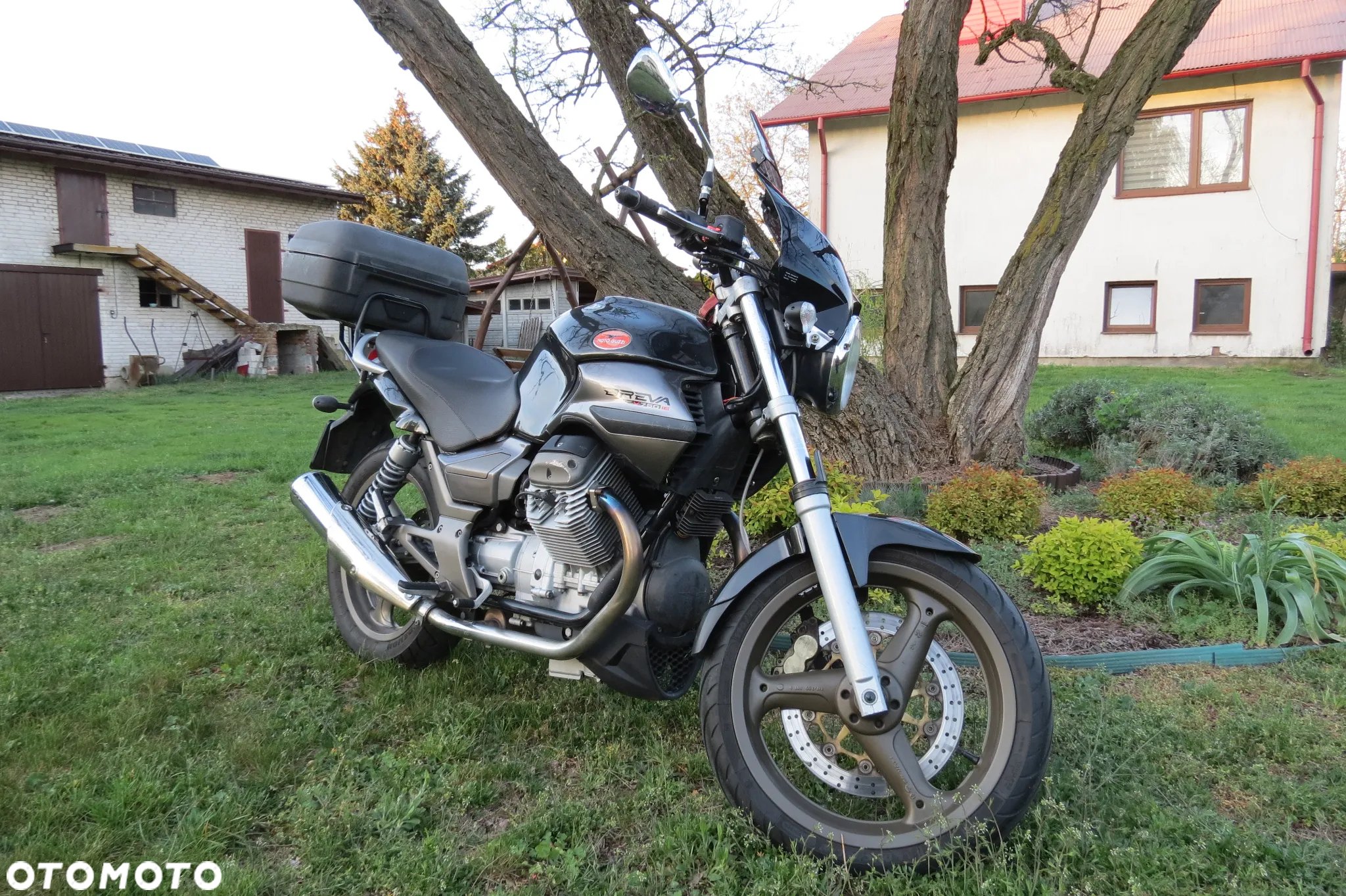Moto Guzzi Breva - 3