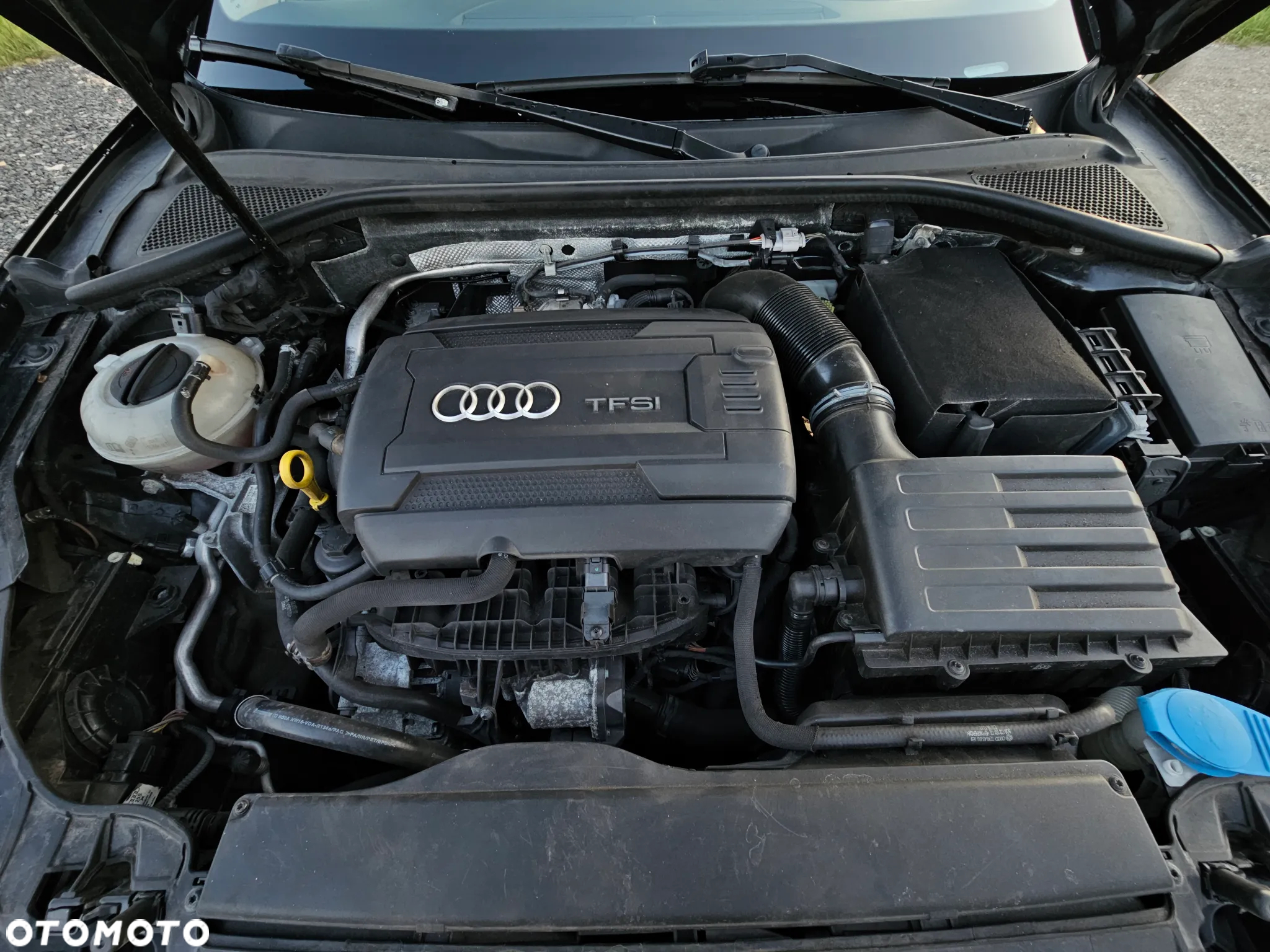Audi A3 - 23