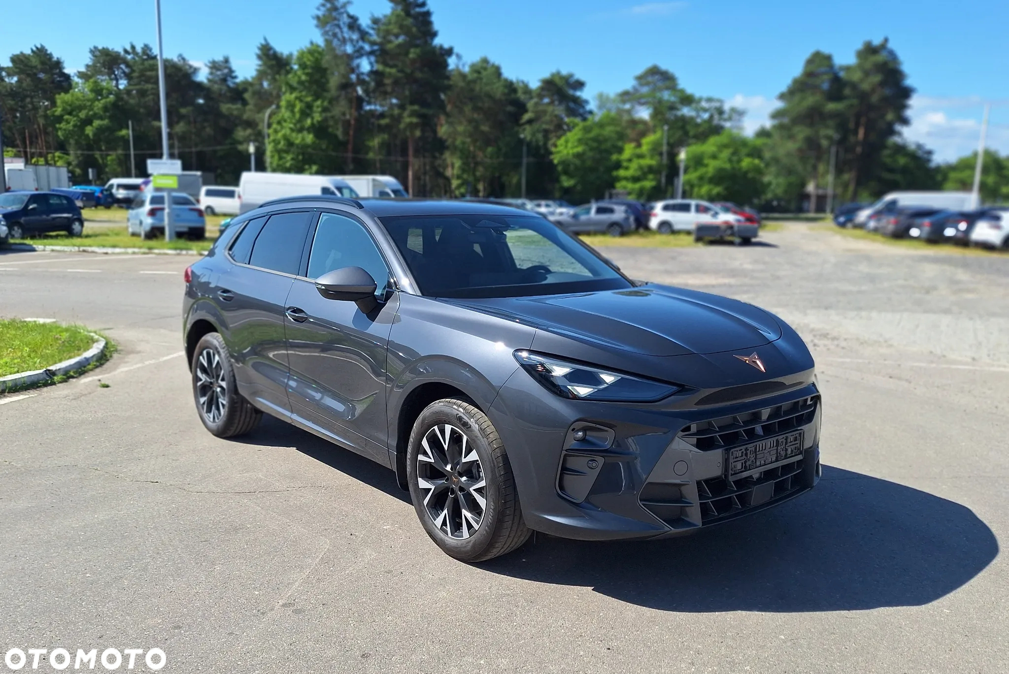Cupra Terramar 1.5 eTSI DSG - 10
