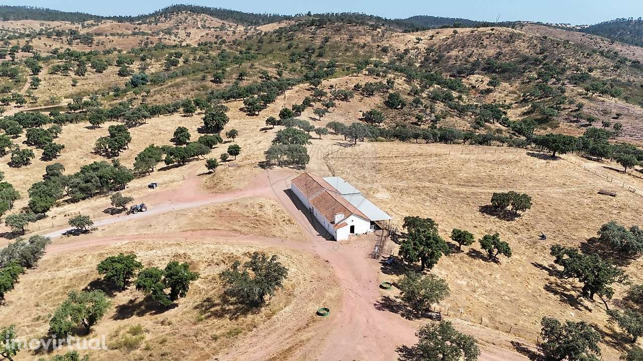 Quinta T4 para venda - Grande imagem: 2/9