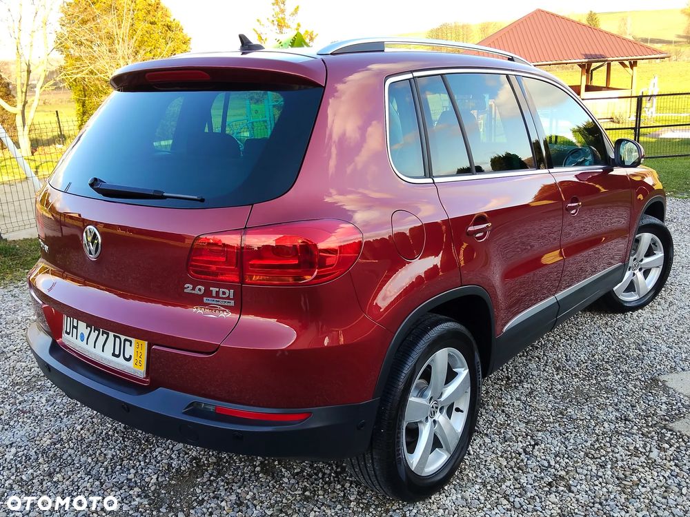 Volkswagen Tiguan 2.0 TDI DPF BlueMotion Technology Freestyle - 2