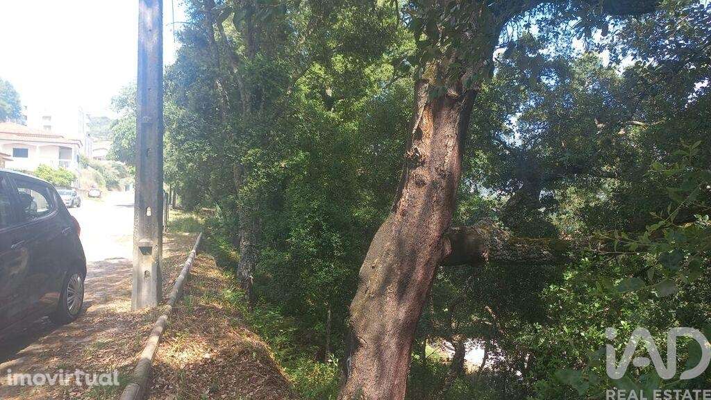 Terreno em Frende de 1000,00 m2 - Grande imagem: 2/14