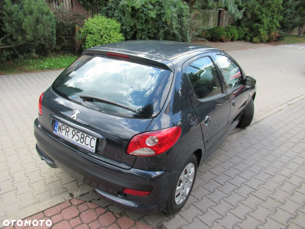 Peugeot 206 plus 60 - 8