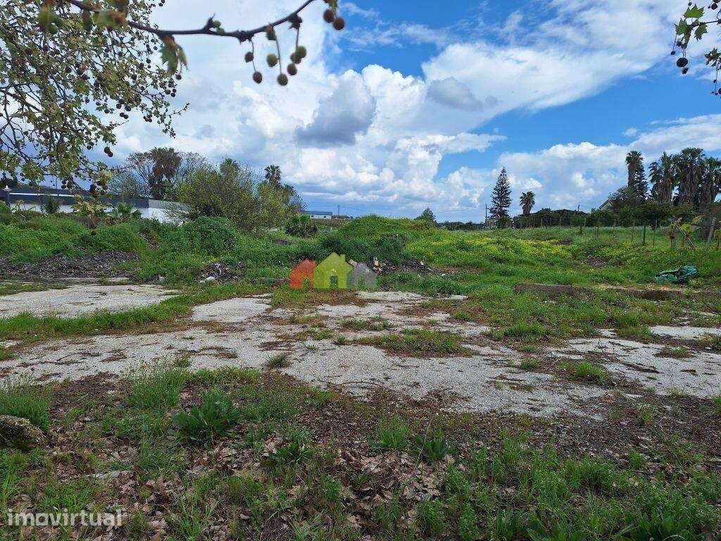Terreno rústico com 8.396 m2, urbanizável, em Brejos do Assa, Palmela - Grande imagem: 3/19