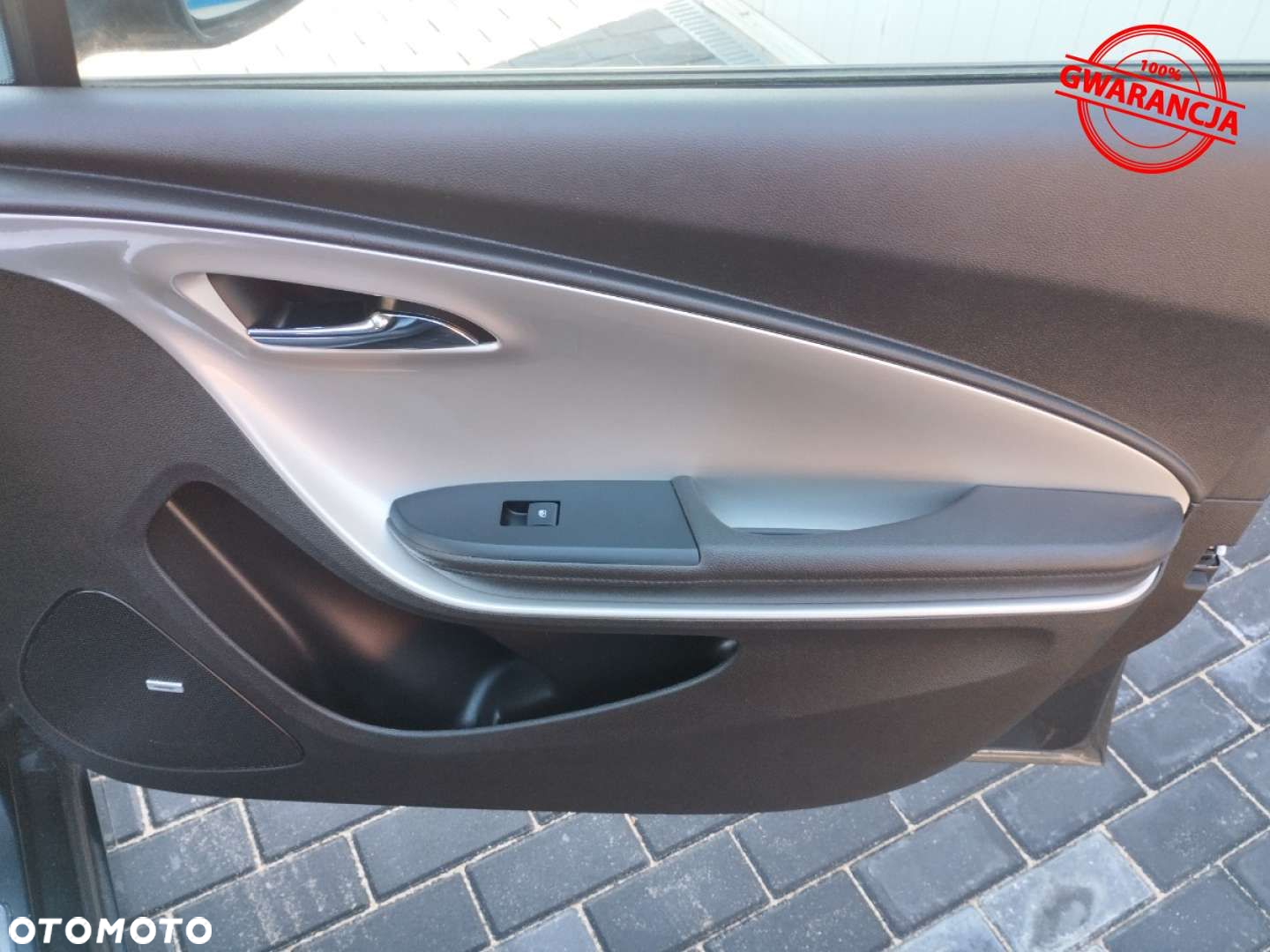 Opel Ampera - 31