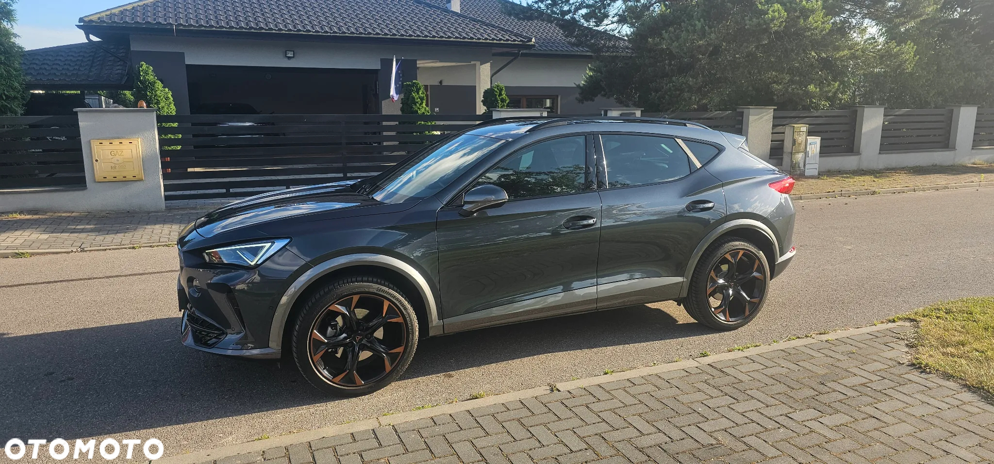 Cupra Formentor 1.5 TSI DSG - 2