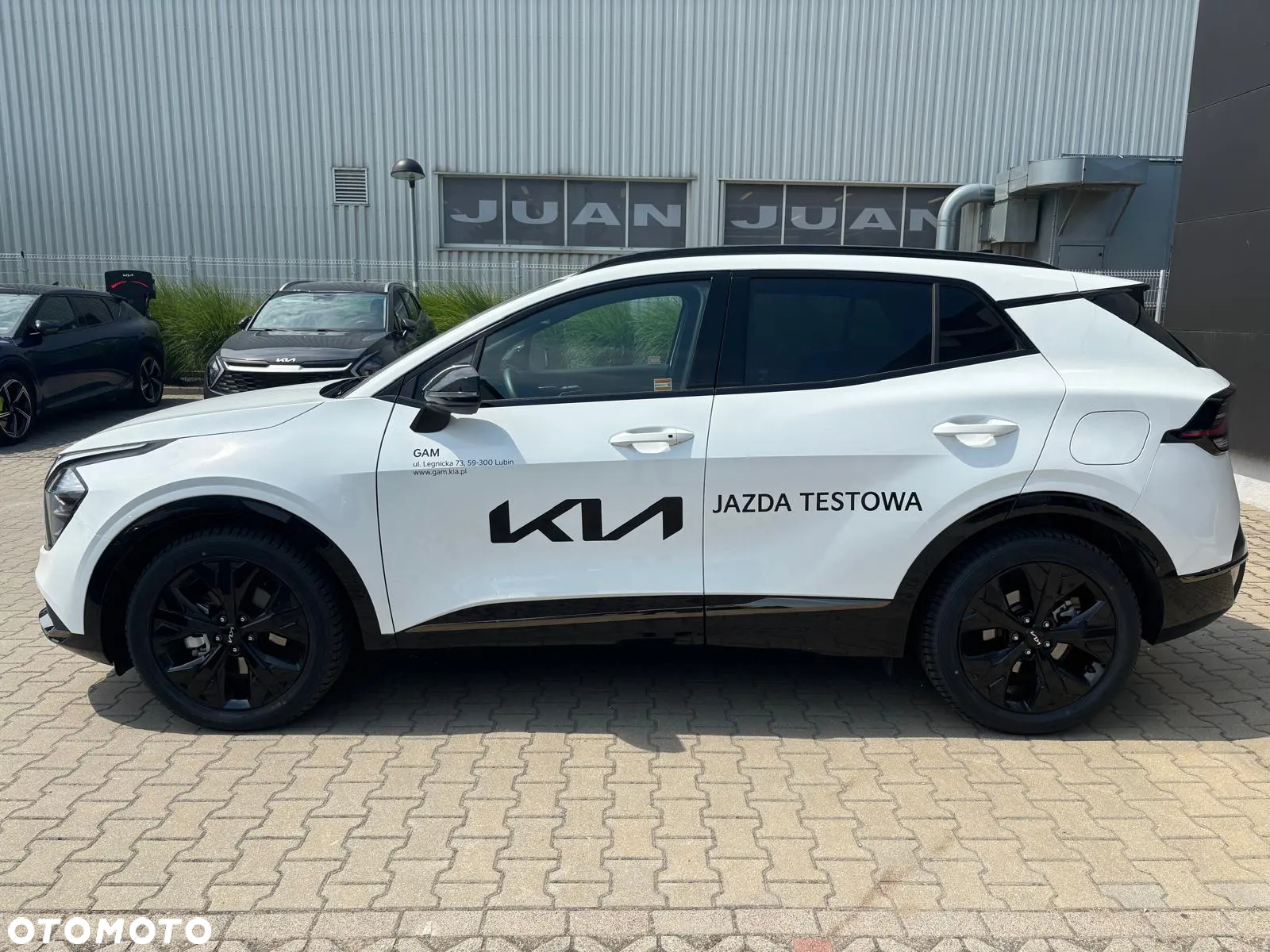 Kia Sportage 1.6 T-GDI Anniversary 2WD DCT - 2