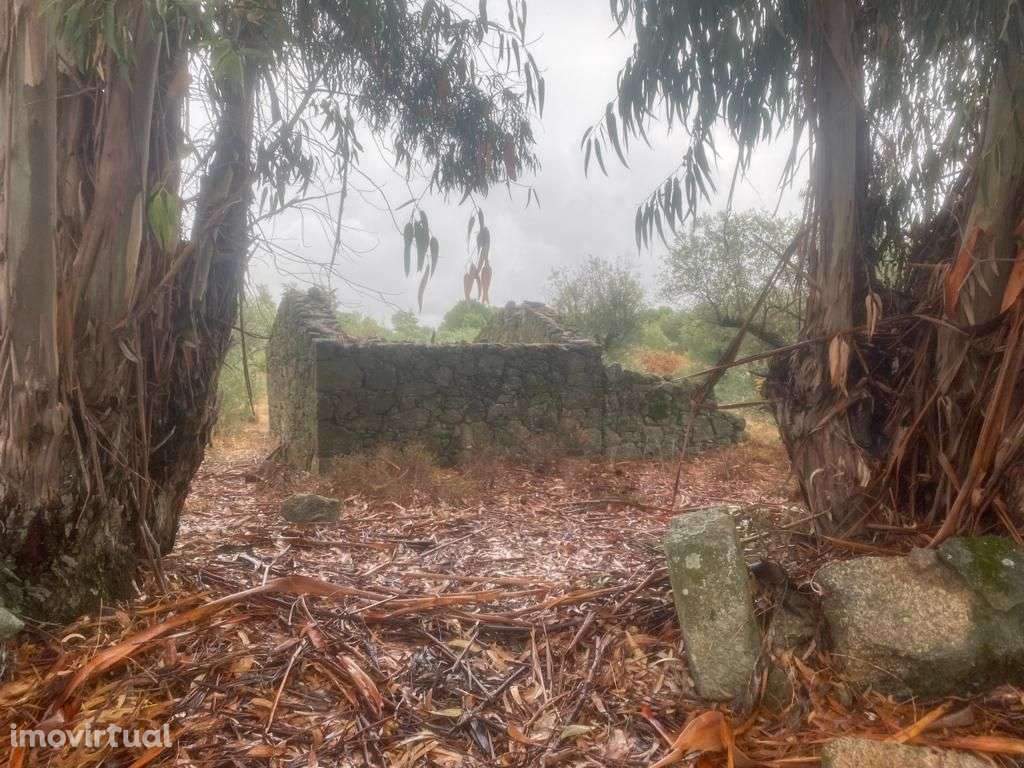 Quintinha - Grande imagem: 3/10