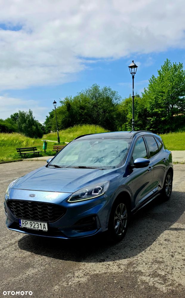 Ford Kuga 2.0 EcoBlue AWD ST-Line X - 8