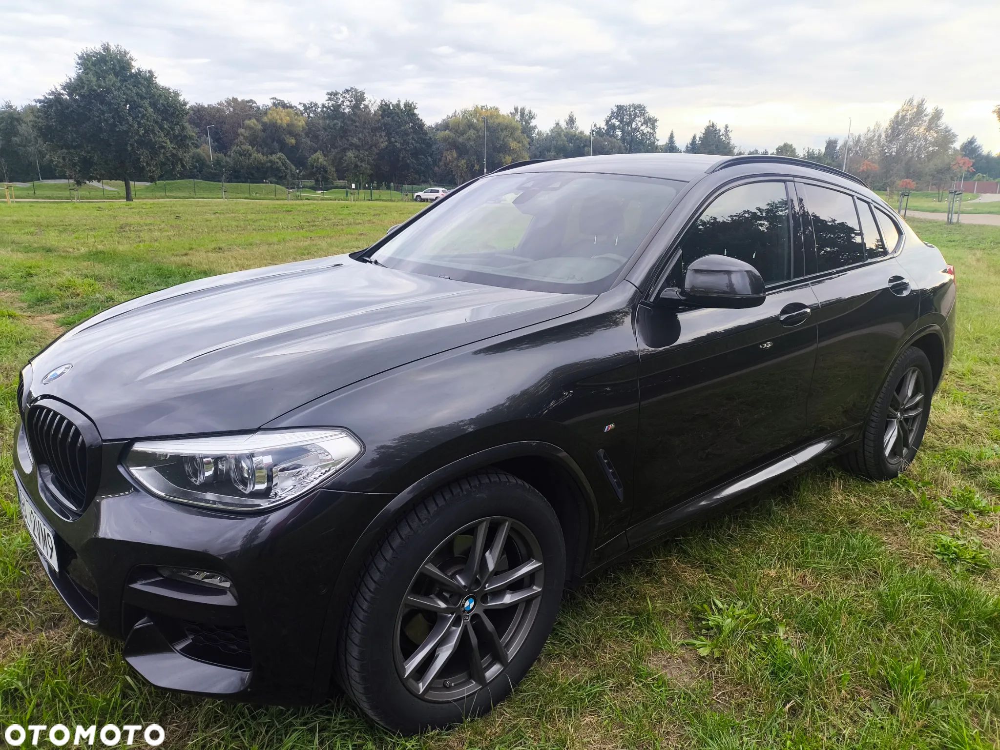 BMW X4 xDrive20d M Sport sport - 1
