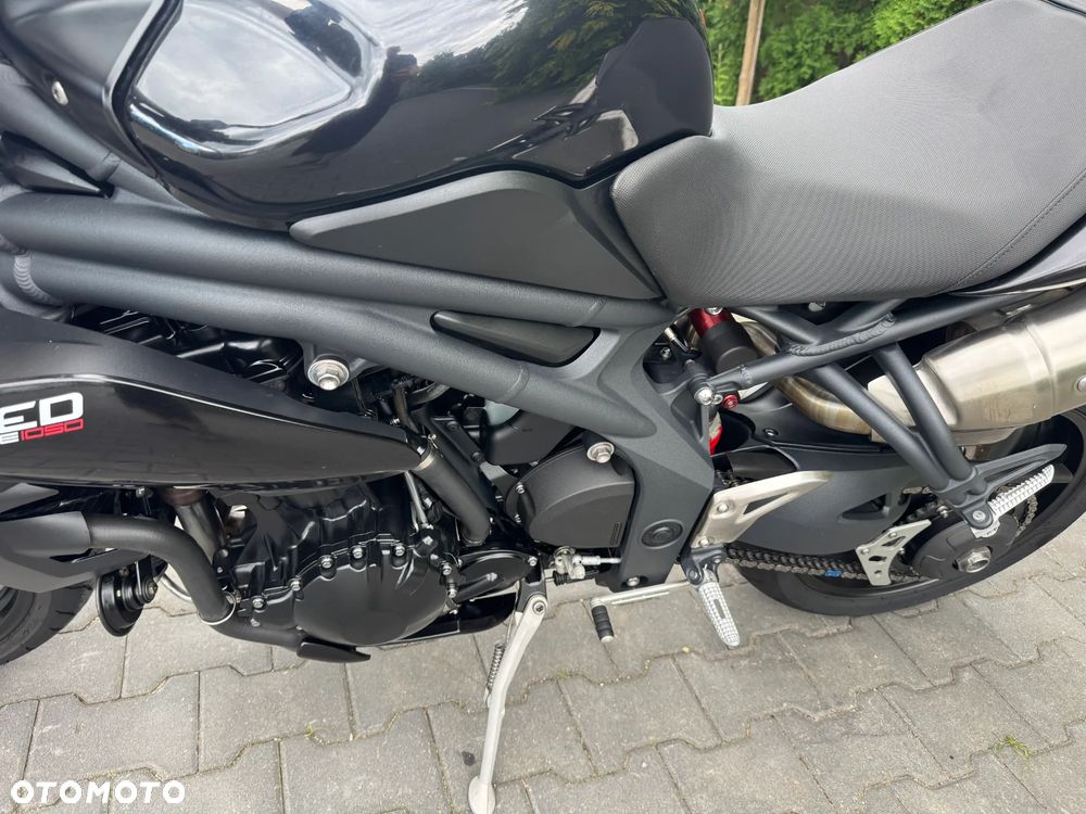 Triumph Speed Triple - 19