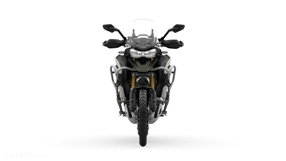 Triumph Tiger - 6