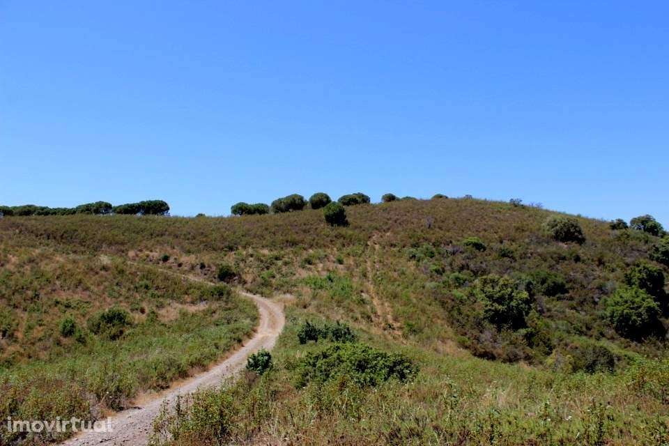 TERRENO RÚSTICO SEM RUINA, BENSAFRIM - Grande imagem: 5/11