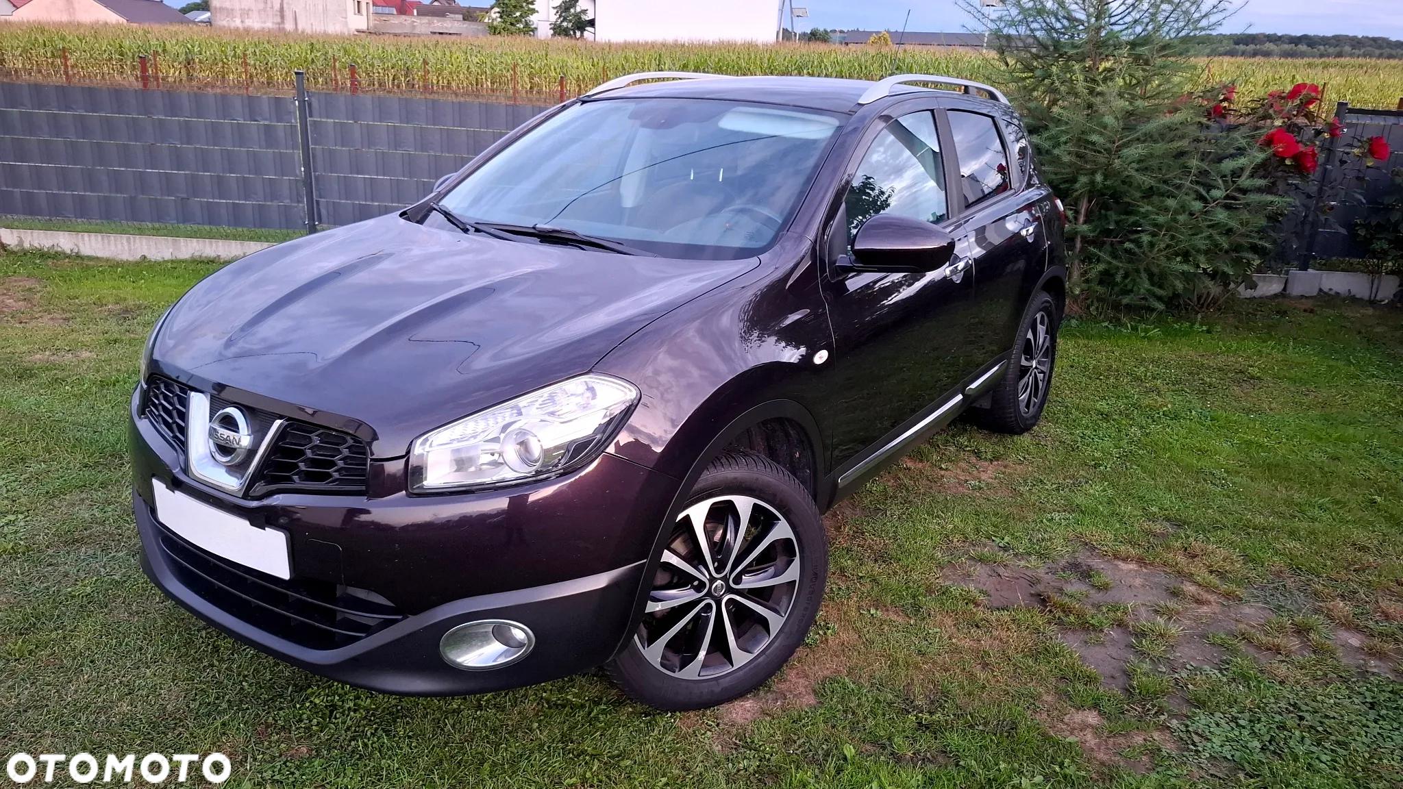 Nissan Qashqai - 2