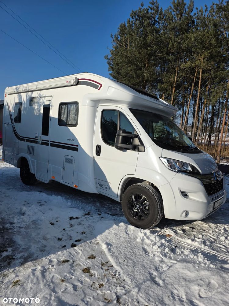 Giottiline Siena - 2