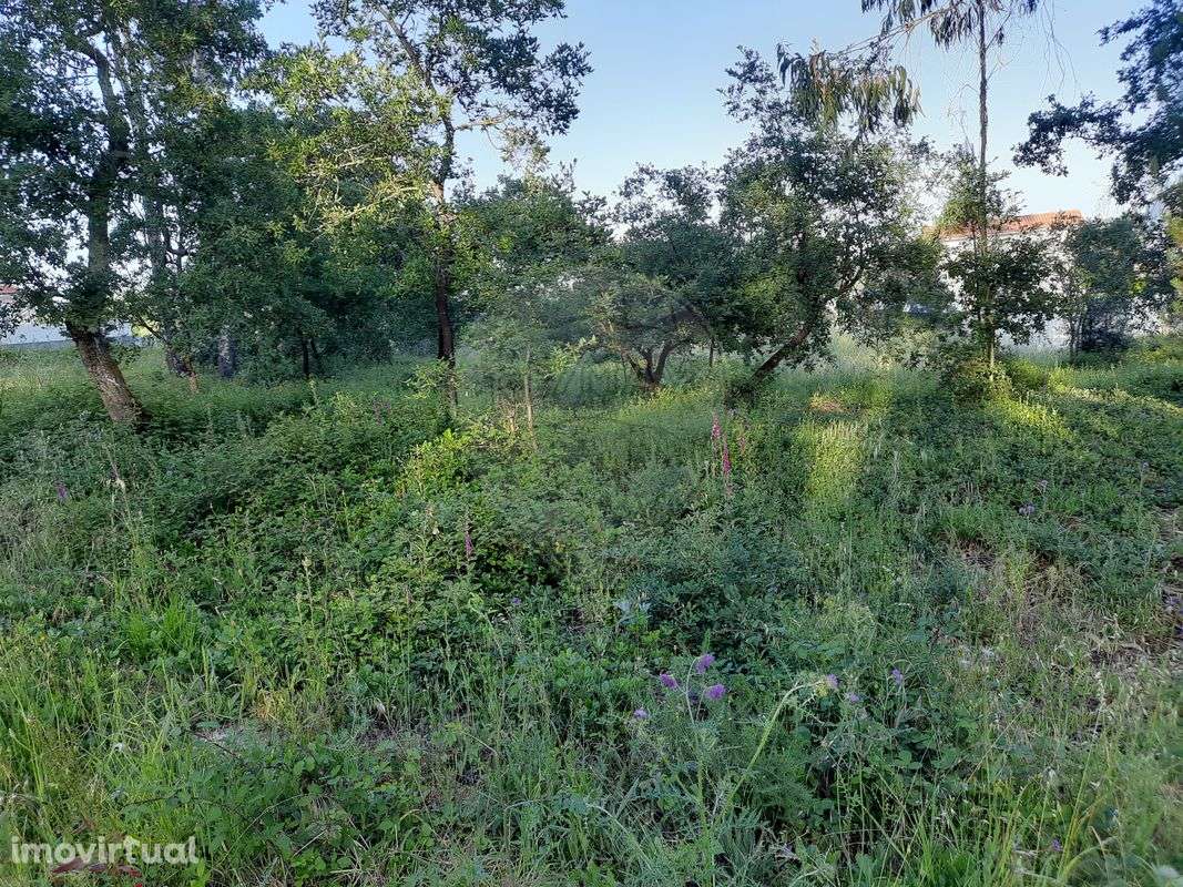 Terreno  para venda - Grande imagem: 3/4