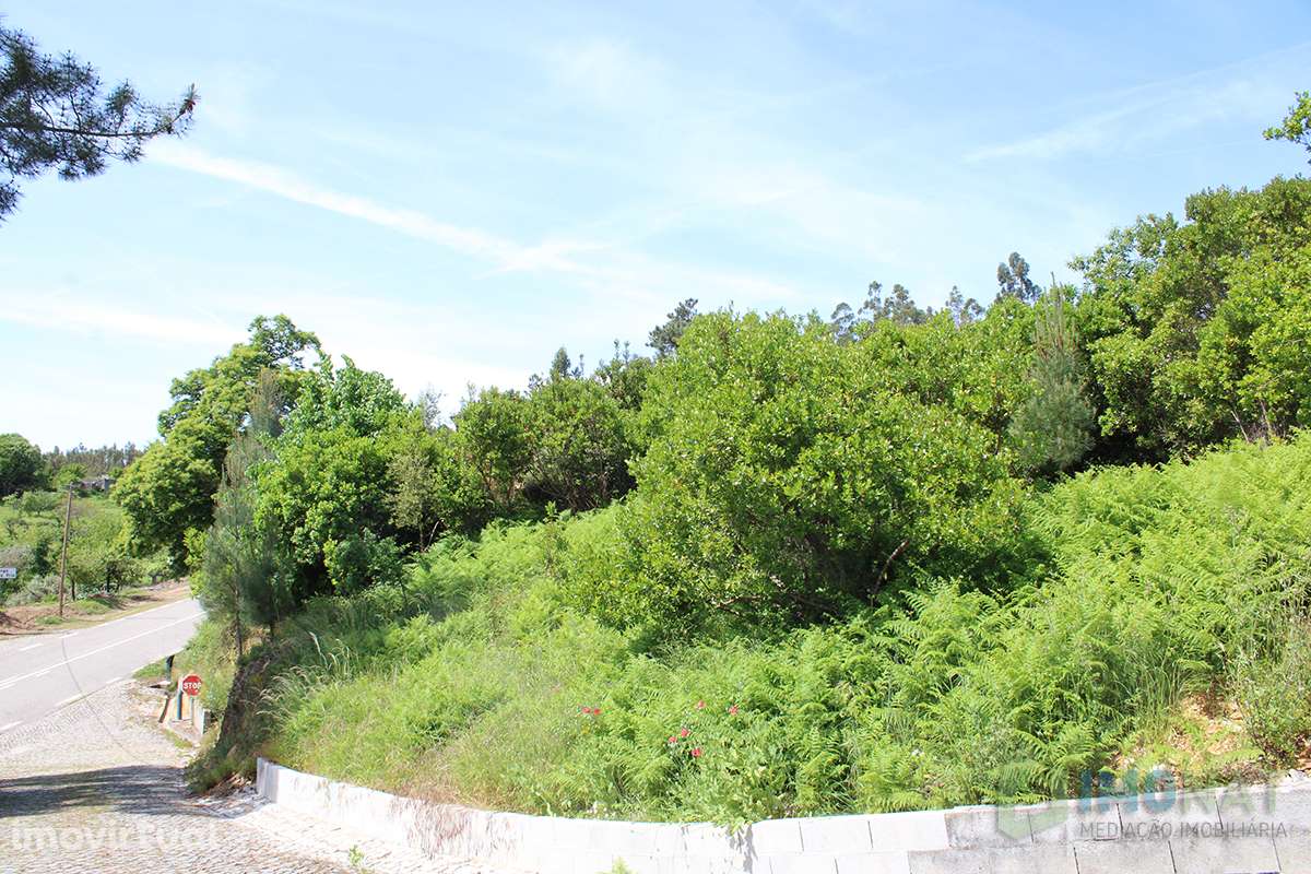 Quinta - Grande imagem: 2/42