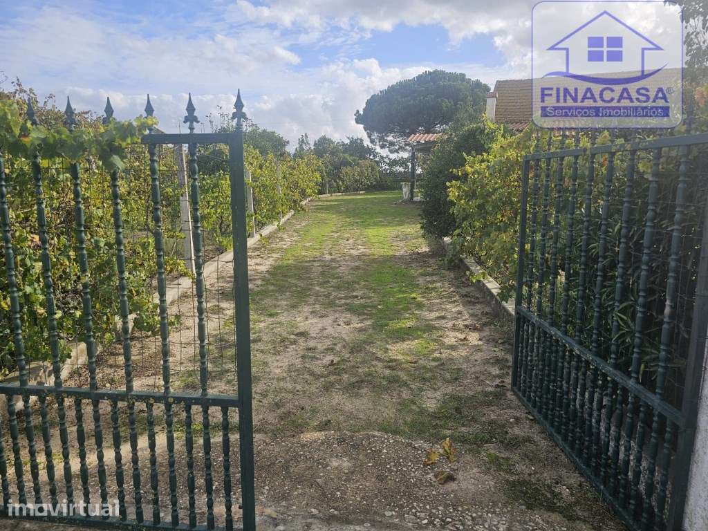 EXCLUSIVO - Quinta com 2069 m2, T1 e um armazém - Asseiceira(Palmela) - Grande imagem: 2/56