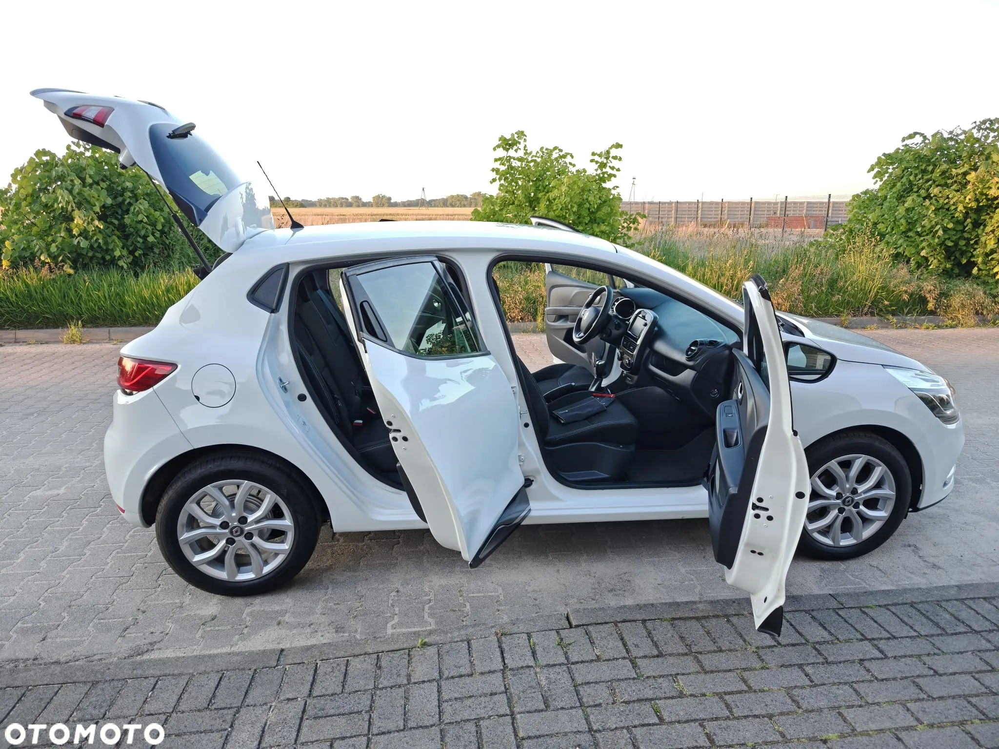 Renault Clio - 15