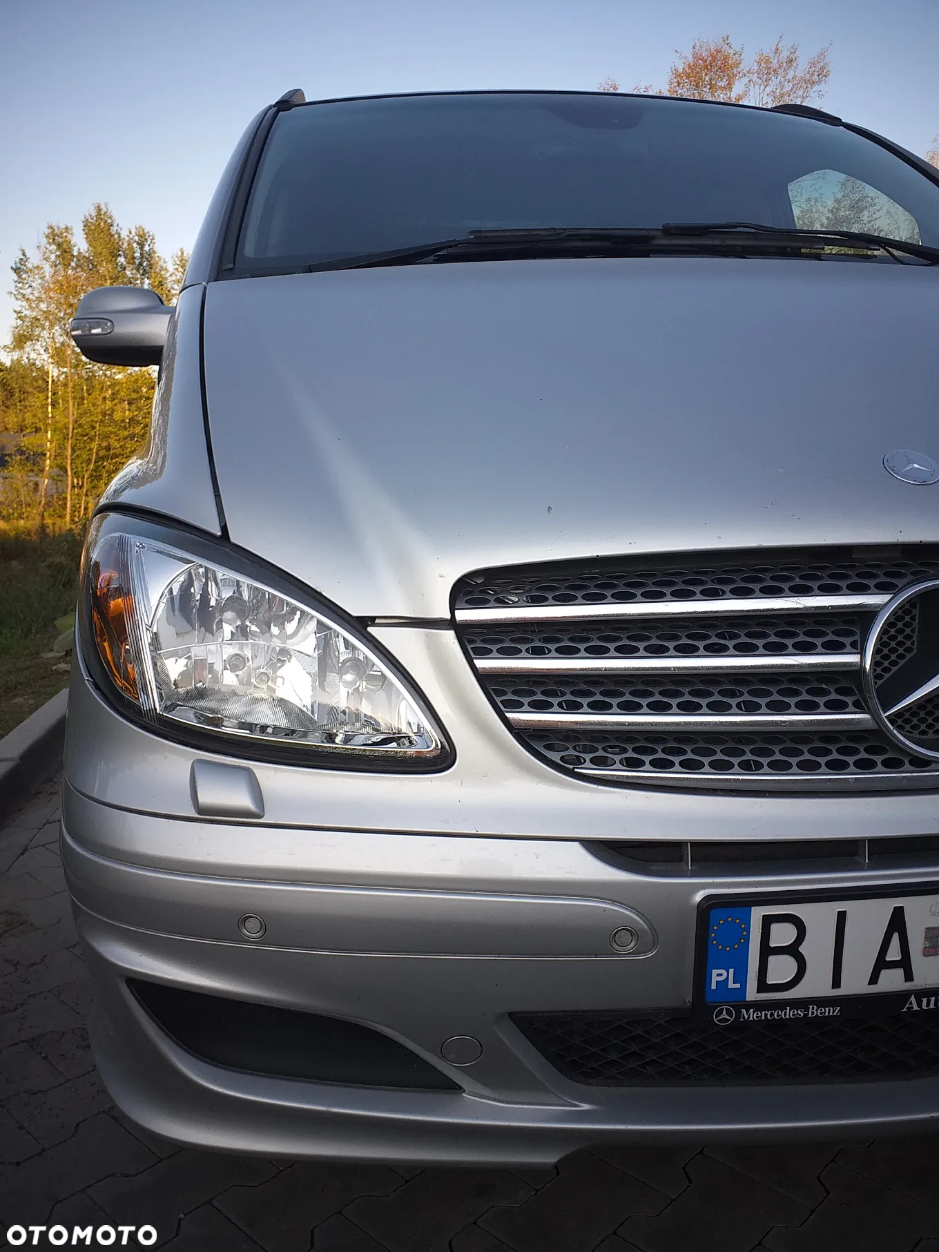 Mercedes-Benz Viano - 9